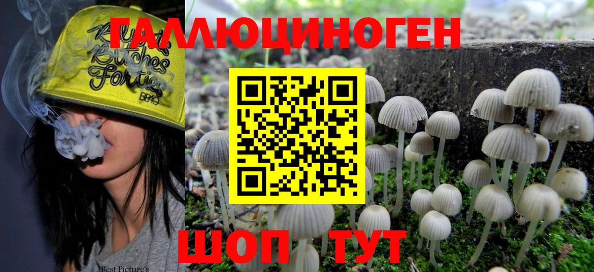 Псилоцибиновые грибы мицелий Реутов